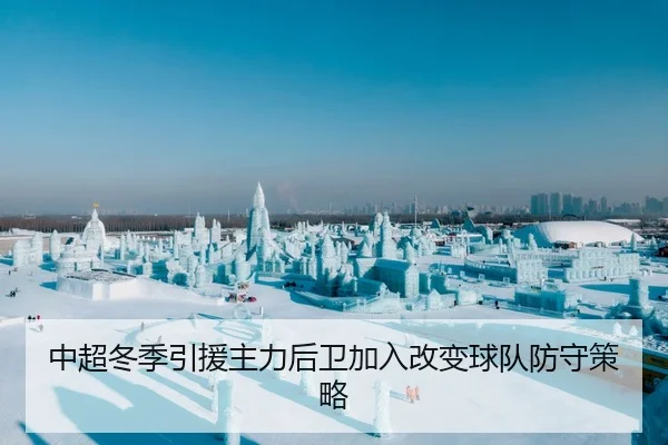 中超冬季引援主力后卫加入改变球队防守策略（ODSports）